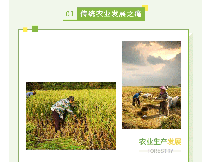 現代農業(yè)_04.gif